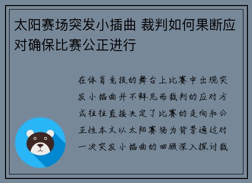 太阳赛场突发小插曲 裁判如何果断应对确保比赛公正进行