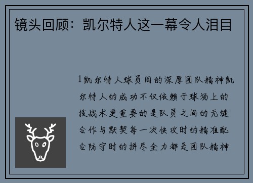 镜头回顾：凯尔特人这一幕令人泪目